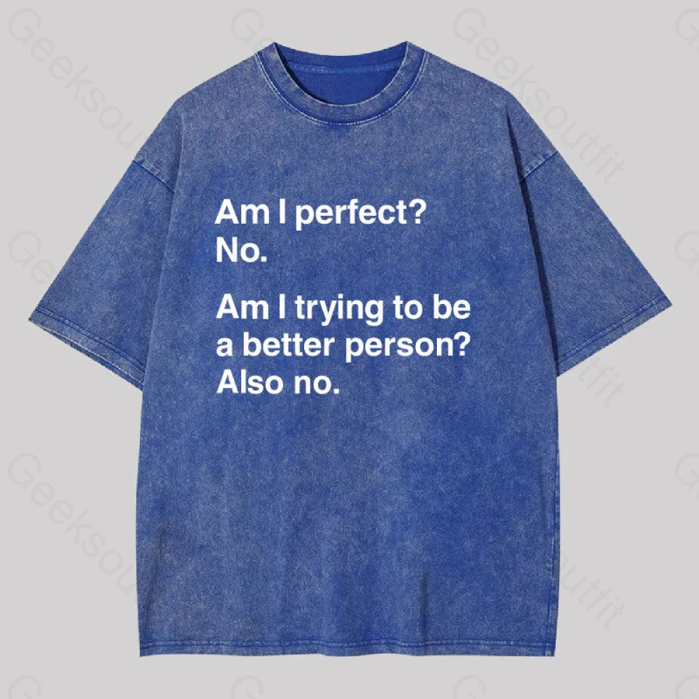 Am I Perfect No Washed T-shirtDate Night Tee